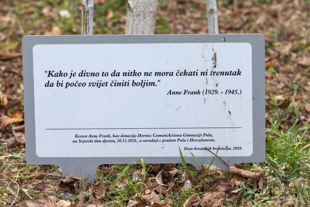 Kod stabla kestena Anne Frank Pula je obilježila Dan sjećanja na žrtve holokausta