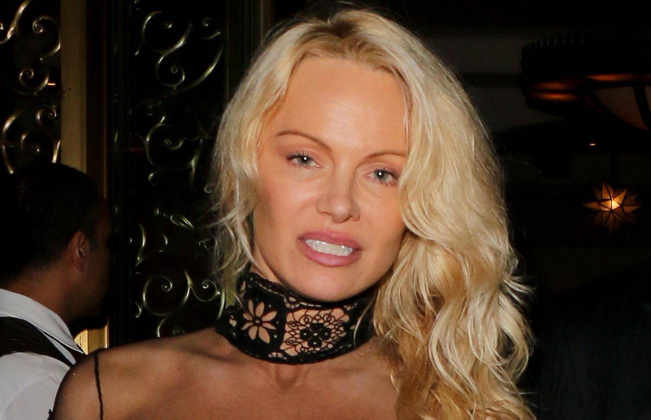 Double Dyed! Pamela Anderson wore her hair in her customary blonde and son Brandon Lee showed off his newly dyed gray locks as they dressed up for Sean Penn's Haiti Benefit event at the Montage Hotel in Beverly Hills