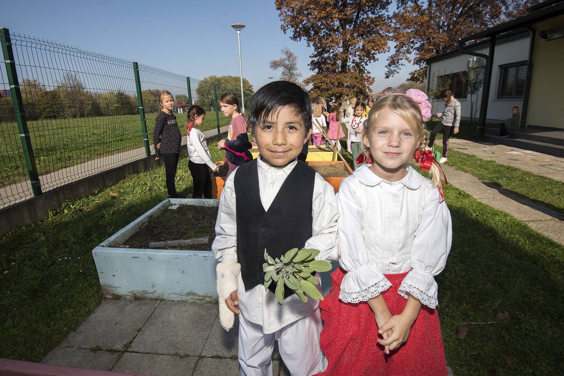Varaždin: Učenici pete osnovne škole više od pet godina uzgajaju povrće u gredicama ispred škole