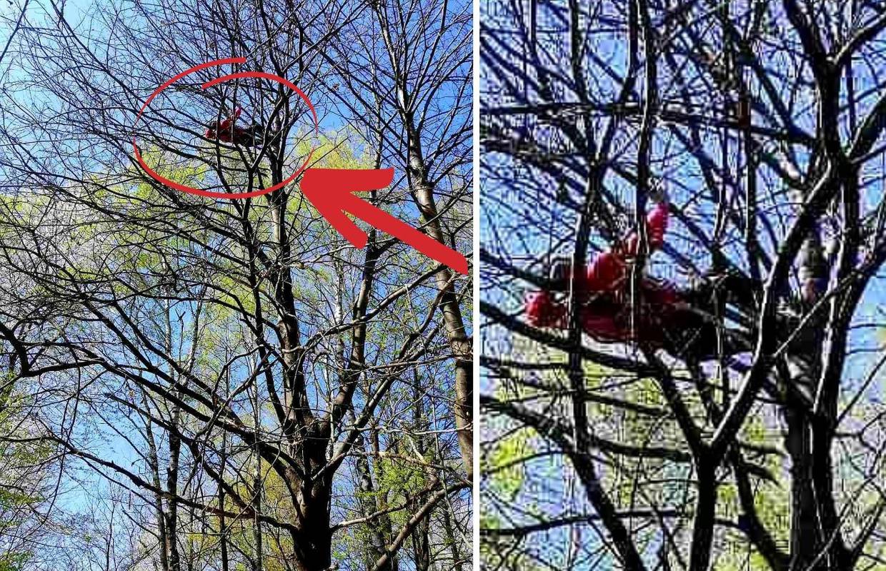 Kod Karlovca se popeo na drvo od 15 metara, ljudi zvali HGSS