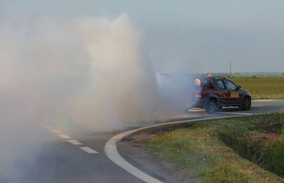 Osijek na vrhuncu najezde komaraca. Zbog lošeg vremena tretmani će početi u petak