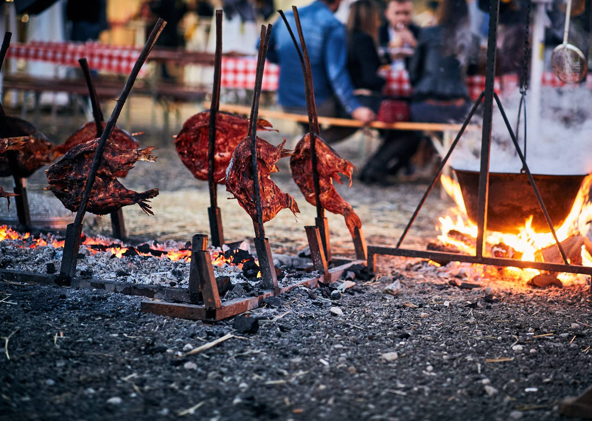 Sepcijaliteti svih hrvatskih regija na Rujanfestu