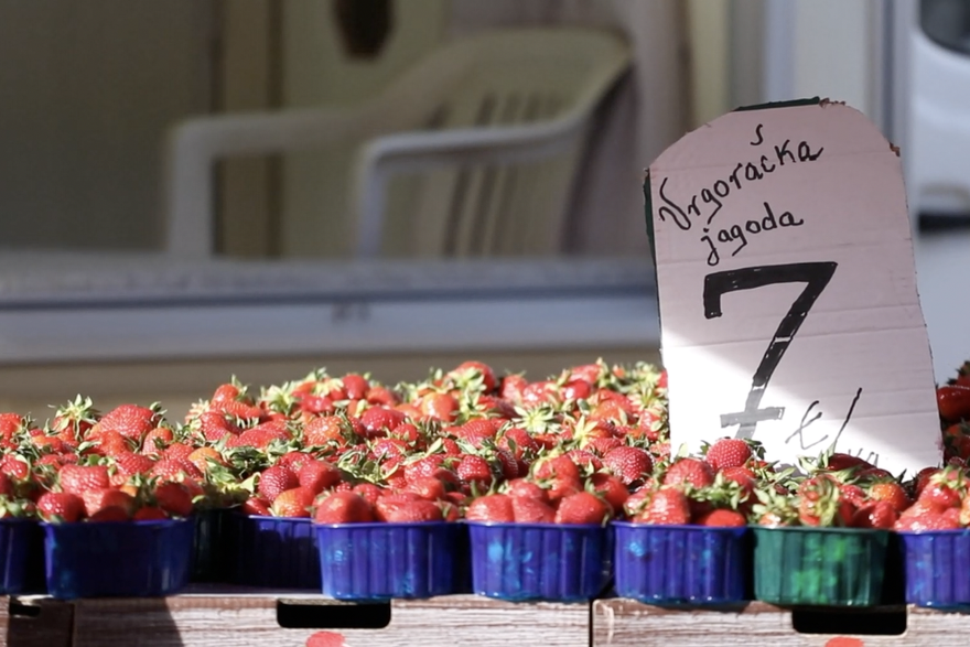 Šibenik: Na gradskoj tržnici vrgoračke jagode prodaju se po cijeni 7 eura po kilogramu