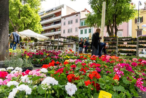 Pula: 17. sajam cvijeća Florija na Giardinima