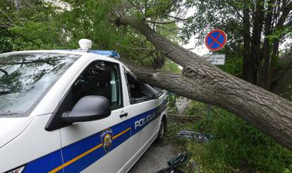 Sibenik: Jak vjetar srusio veliko drvo i razbio policijski kombi