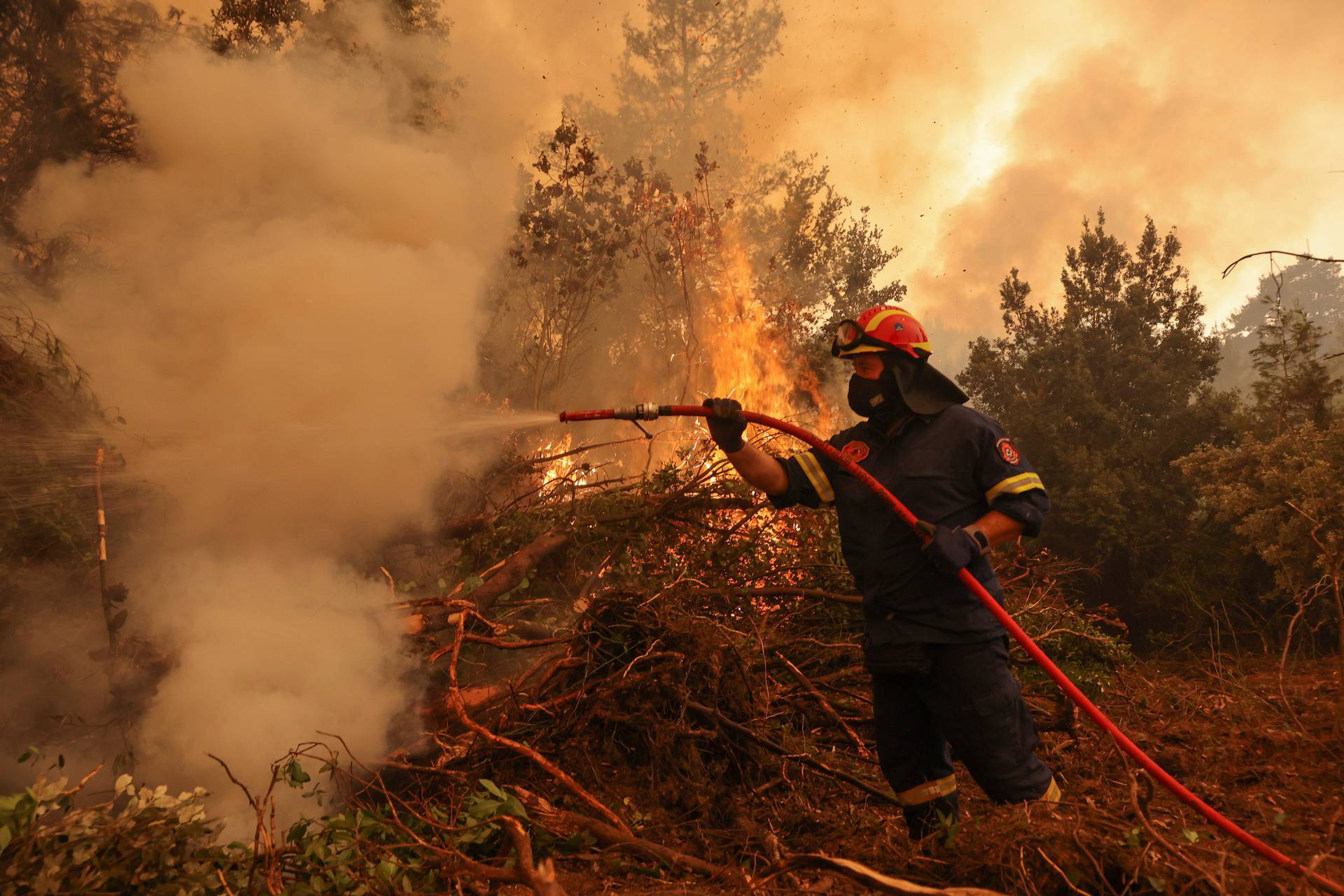 Wildfire on Evia island