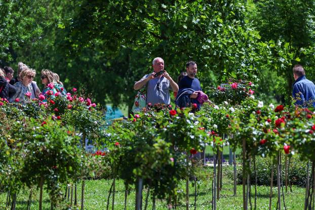 Zagreb: Sunce obasjalo Flora Art