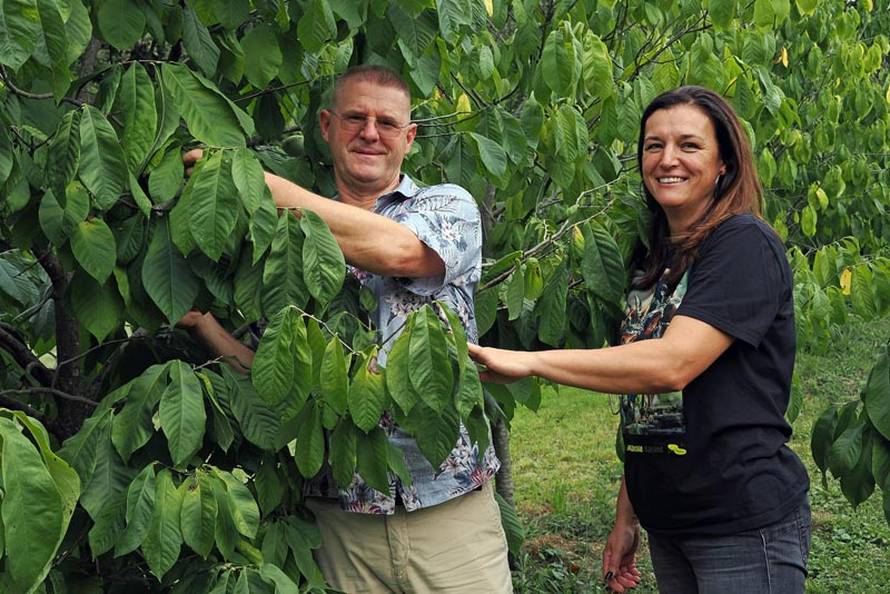 Počinje 6. Festival indijanskih banana: Saznajte sve o ovom zdravom voću i zabavite se