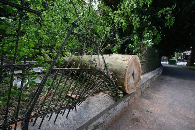 Zagreb: Veliko stablo srušilo se u Tuškancu i oštetilo ogradu kod javne garaže
