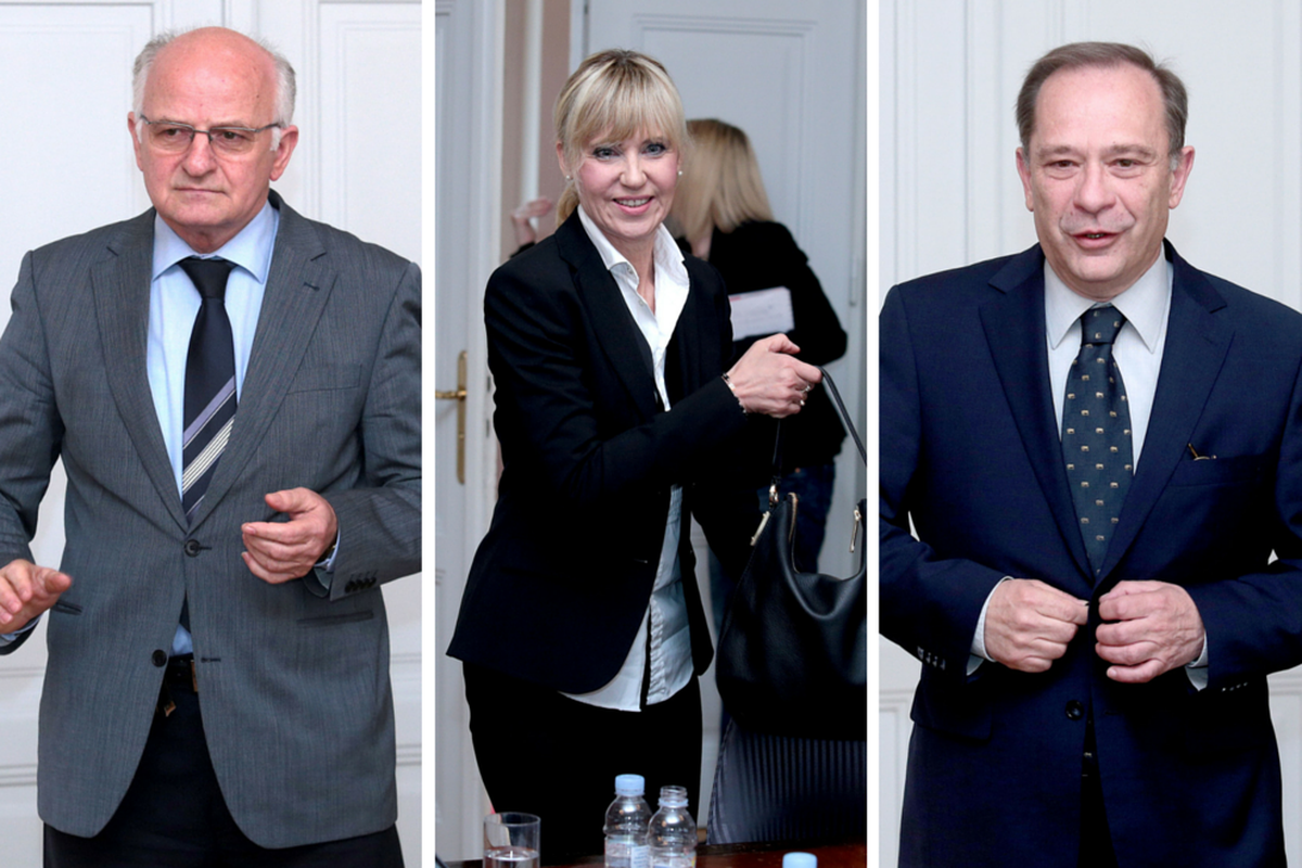 Žele na Ustavni sud: Leko, Mlakar i Ingrid na razgovoru