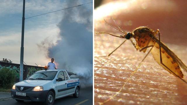 'Užasavamo se komaraca, baka nam je lani umrla nakon uboda'