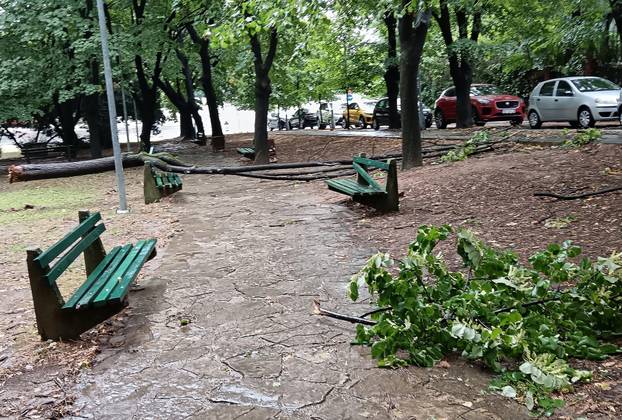 Kratkotrajna oluja rušila stabla u Beogradu