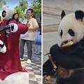 VIDEO Tko bi joj dao 23 godine? Panda slavi ro&dstrok;endan, robot nastupa, razdragana djeca kli&ccaron;u