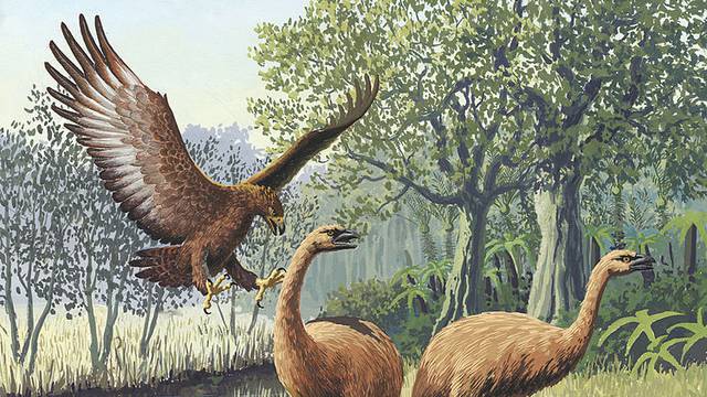 Znanstvenici su našli ostatke divovske prethistorijske ptice