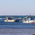 Kraj problemima savudrijskih ribara? 'Zajednički ribolov i obustava kazni? Dobro rješenje'