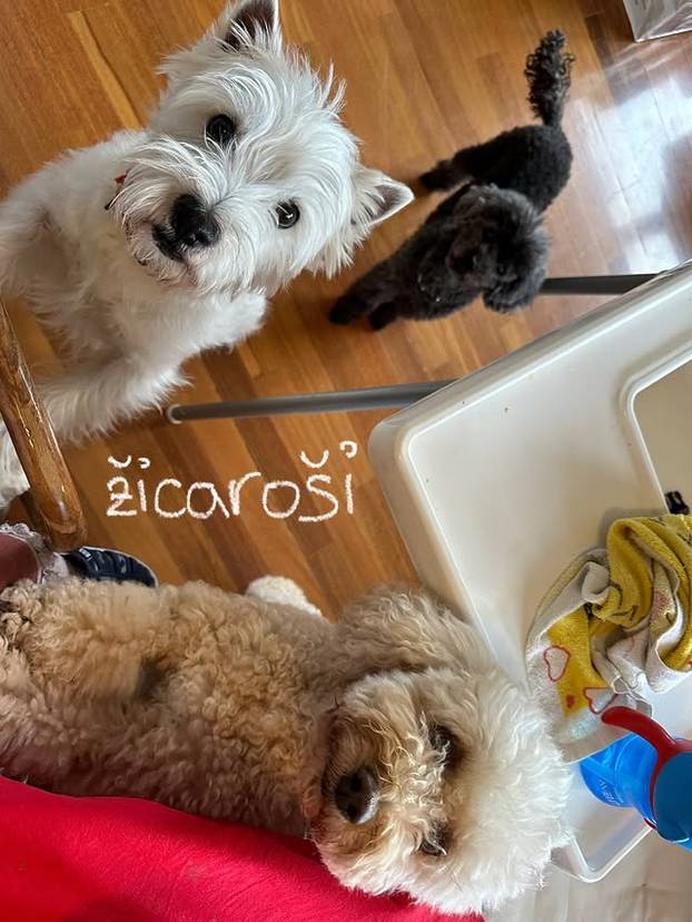 FOTO Debela Barbara: Hrvatska influencerica koja je bez filtera osvojila 100 tisuća pratitelja