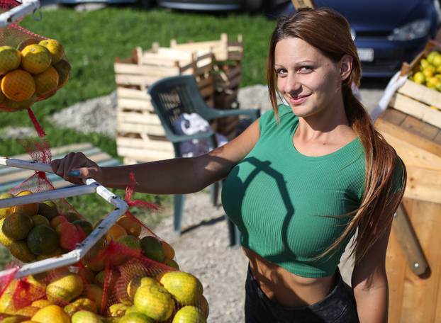 Zagreb: Kristina Penava, prodavačica mandarina kod Podsusedskog mosta