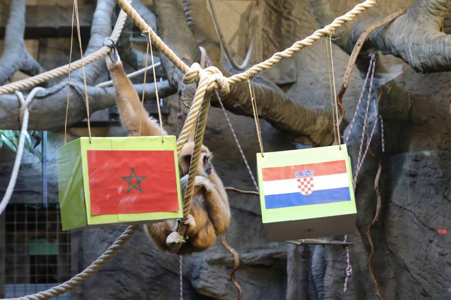 Zagreb: Gibon Kent odabrao pobjednika utakmice Hrvatska - Maroko