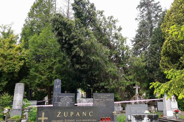 U oluji porušena stabla na Mirogoju napravila su veliku štetu