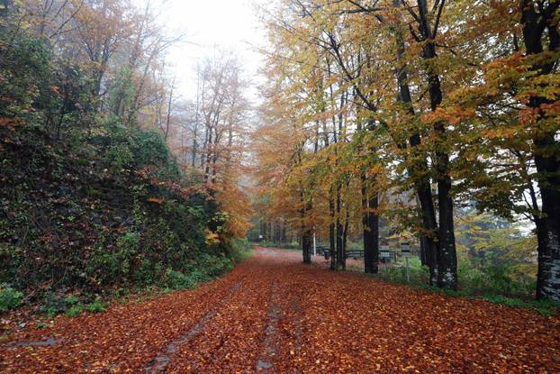 Delnice: Boje jeseni u Gorskom kotaru