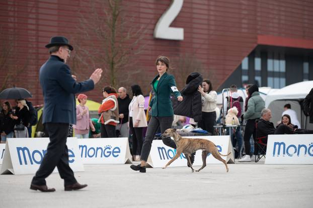U Zaprešiću održana CAC nacionalna izložba pasa