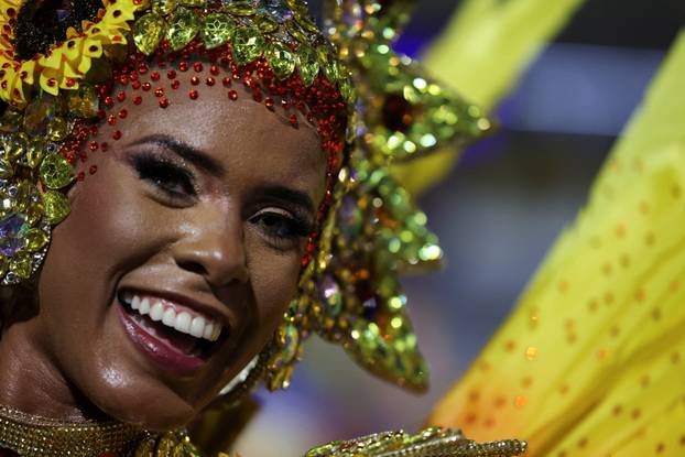 Carnival in Rio de Janeiro