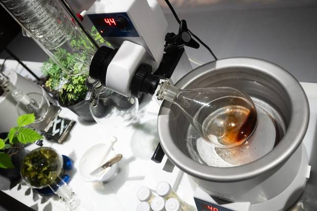 Zagreb: Otvorenje izložbe Skin(s)care - između njege i nasilja