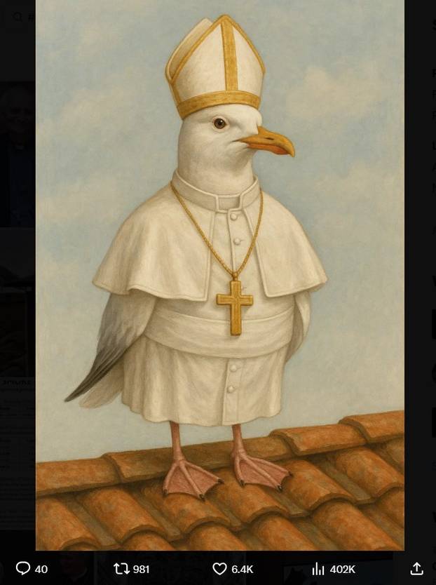 FOTO Internet pun memova zbog konklave. Ovo su najbolje fore! Galeb je postao faca...