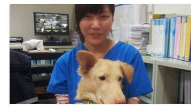 Nije više mogla: Veterinarka se eutanazirala jer je usmrtila pse