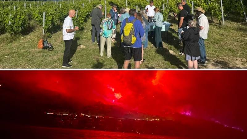'Berba je trebala početi u petak, a onda je vatra odnijela sve što smo stvarali punih 25 godina...'