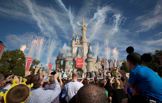 FILE PHOTO: Fireworks go off around Cinderella