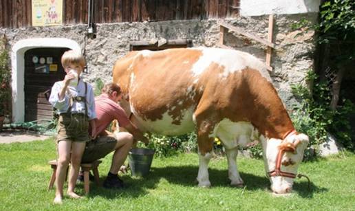 Kako znati je li mlijeko koje konzumiramo iz eko uzgoja?