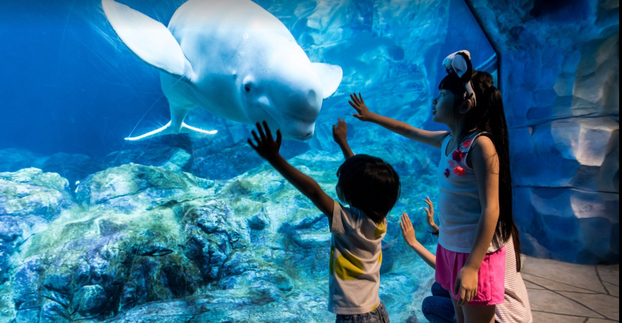 Najpopularniji zabavni parkovi svijeta: Koliko ste ih vi obišli?