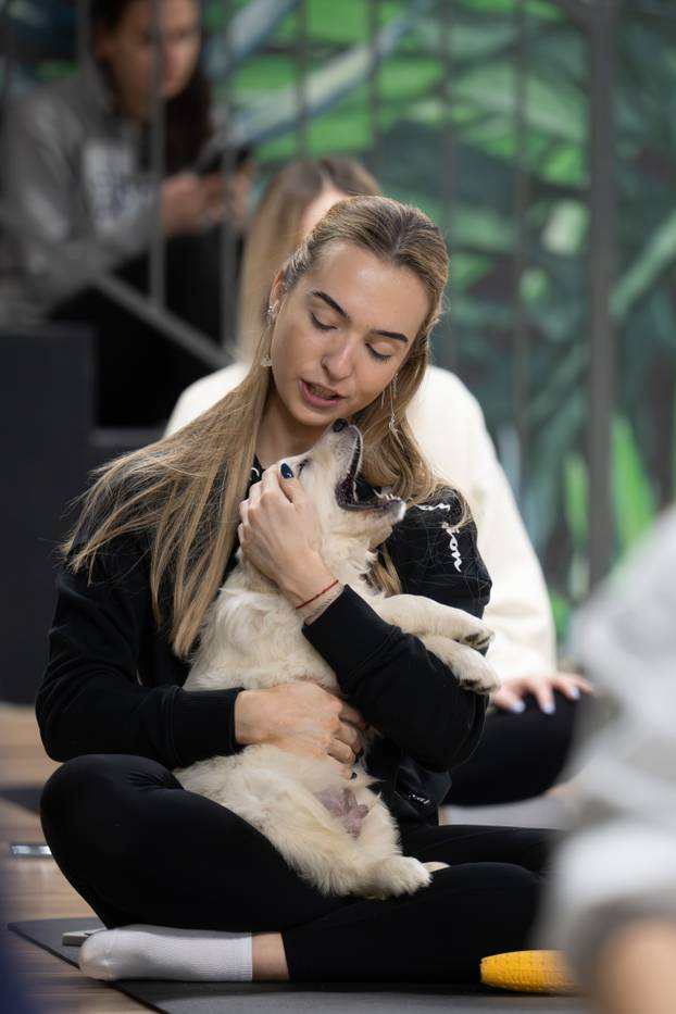 24SATA Paw Yoga, inovativni koncept joge koji je stigao u Hrvatsku