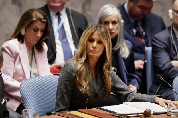 United Nations Security Council meeting in New York City