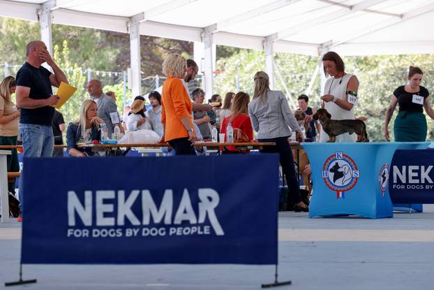 Zaton: Međunarodna izložba pasa pod nazivom CACIB Zadar 2025