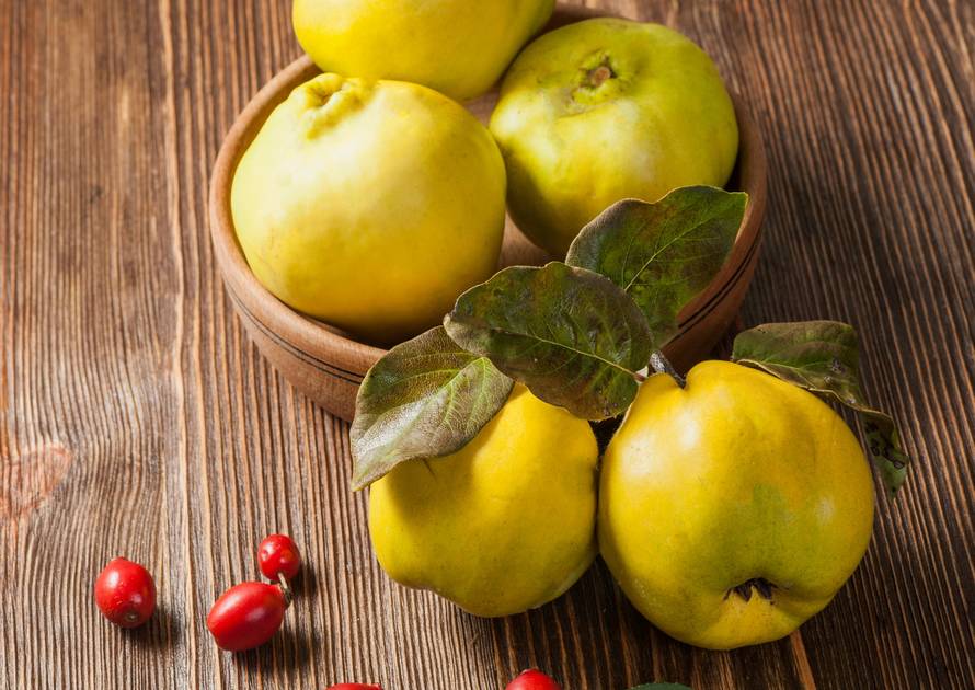 Bogatstvo jesenskih plodova na dohvatu ruke: Šipak, orah, žir, planika, žižula, kesten, glog...