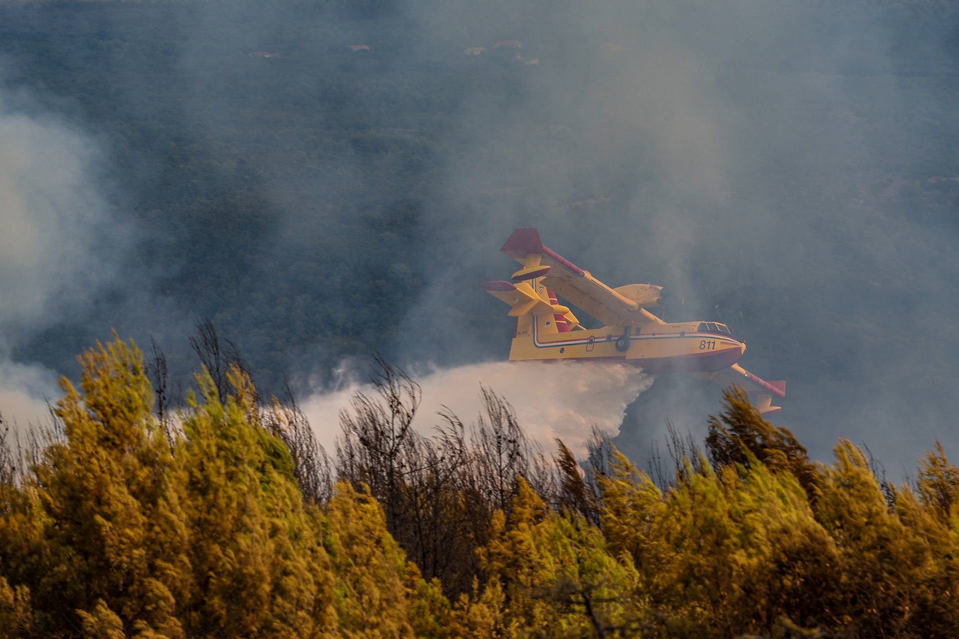 Barban: Veliki požar izbio u Punteri