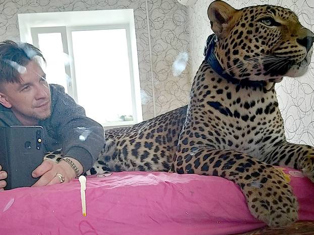 LEOPARD AS A PET