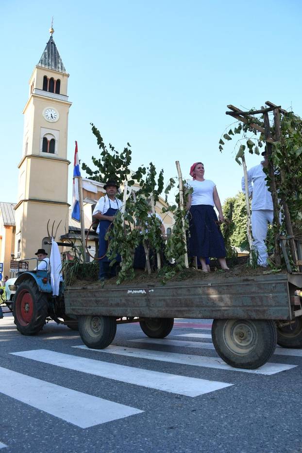 Povorka aranžiranih kola, atrakcija zadnjeg dana Picokijade