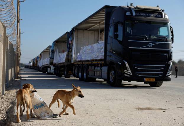 Dogs run near truck carrying humanitarian aid destined for the Gaza Strip at the Kerem Shalom crossing in southern Israel