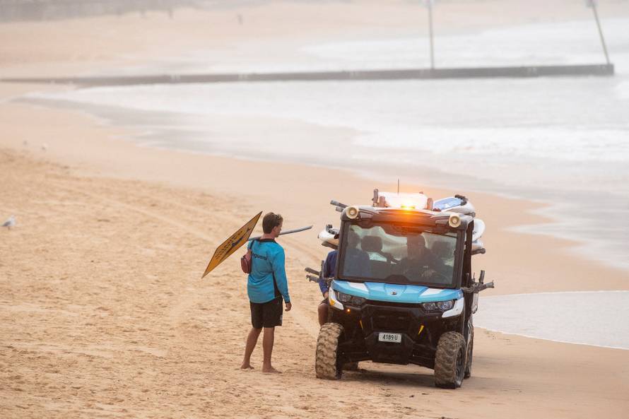 Shark attack in Manly