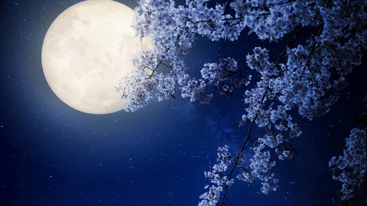 Pun Mjesec u Škorpionu: Evo što donosi vašem znaku Zodijaka