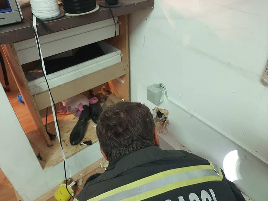 Mačić zapeo u zidu šivaonice, vatrogasci bušili zid da izađe...