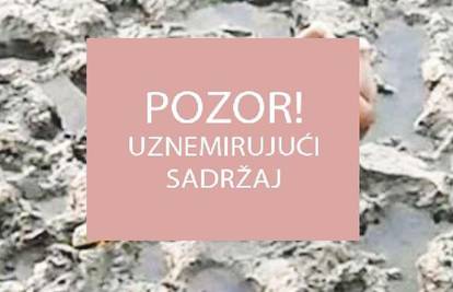 Slika koja ledi krv u žilama: "Imao je samo 16 mjeseci..."