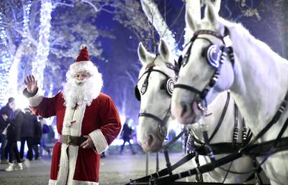 Lipicanci Sokol i Javor prave su zvijezde Adventa u Zagrebu