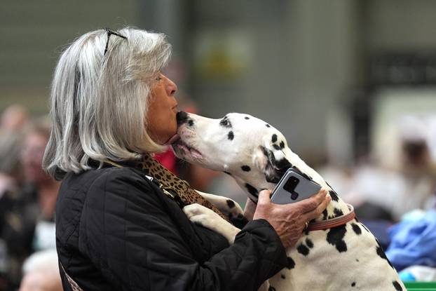 Crufts Dog Show 2025 - Day Two