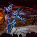 Cirque du Soleil u Zagrebu: Za opremu su im trebala 4 aviona