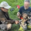 Ornitolozi i alpinisti HGSS-a u zajedni&ccaron;koj akciji: Mladi orlovi &scaron;tekavci dobili su 'pravi' nakit