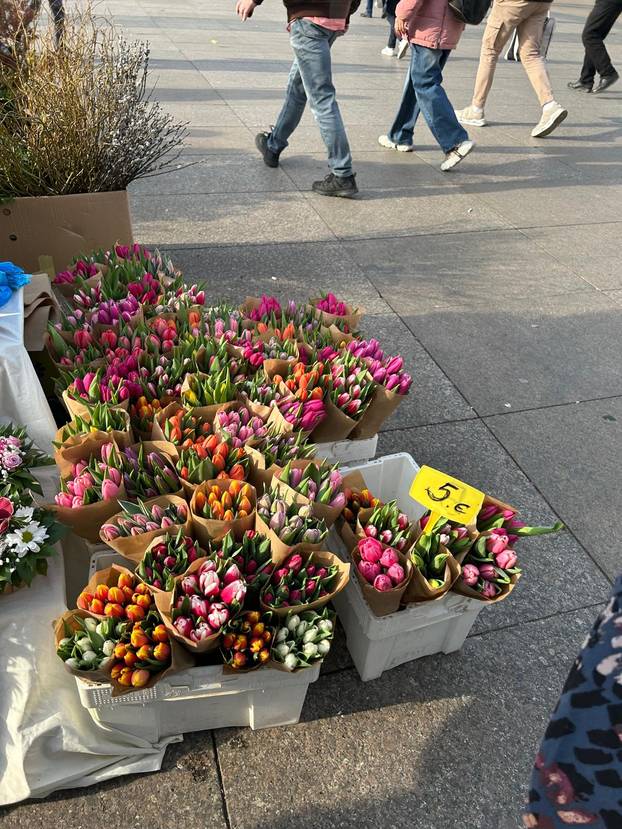 FOTO Građani šokirani! Za kilu janjetine 20 eura, rajčice po 7, a orada na Dolcu čak 28 eura